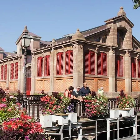 Appartement Historic Center - Cosy Turenne 1 - Bookingalsace Colmar