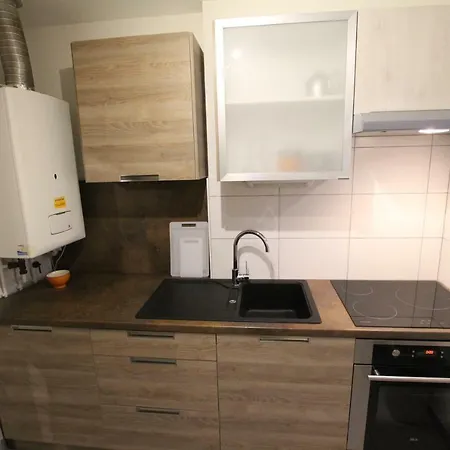 Appartement Historic Center - Cosy Turenne 1 - Bookingalsace Colmar