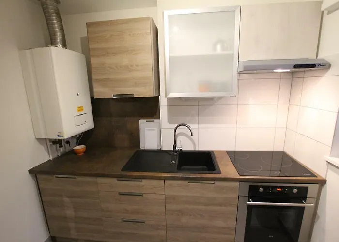 Apartment Historic Center - Cosy Turenne 1 - Bookingalsace Colmar